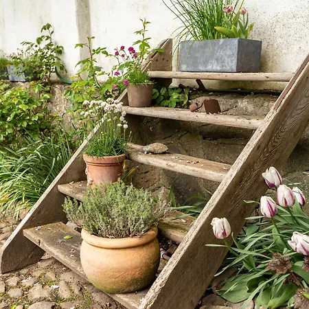 Apartament Lammkontor Husum (Schleswig-Holstein)