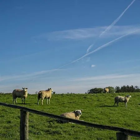 Lammkontor Lejlighed Husum (Schleswig-Holstein)