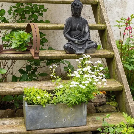 Apartament Lammkontor