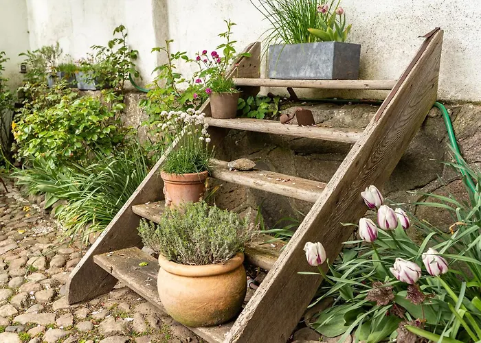 Appartement Lammkontor Husum (Schleswig-Holstein)